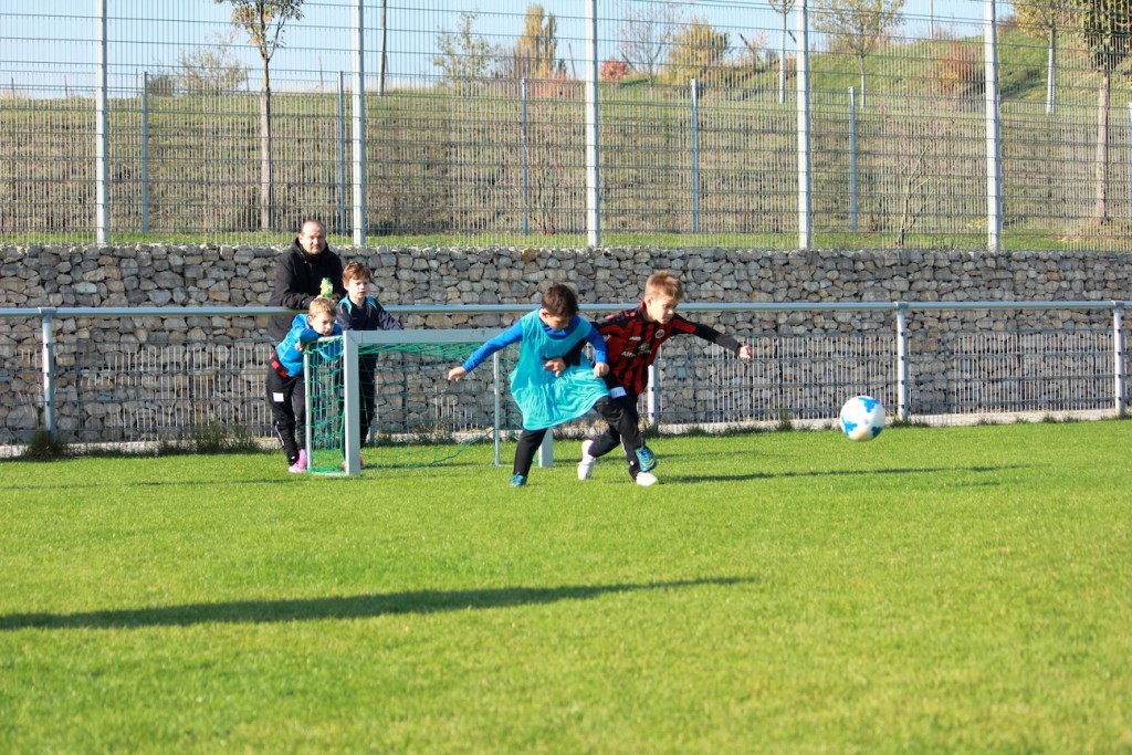 IMG_1385 Trikotzupfer Kopie