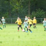 U10 SVN_SCR1